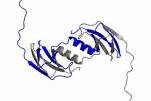Białko 2B1Y o rekordowej wytrzymałości na rozciąganie mechaniczne. Grafika odseparowana od tła. (Źródło: IF PAN)